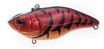 Aruku Shad 65