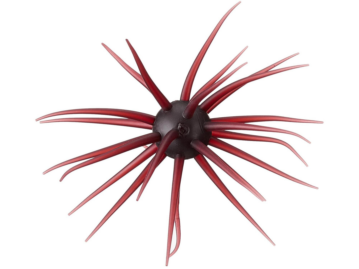 Hideup Coike Creature Bait