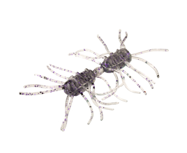 Sexy Bug