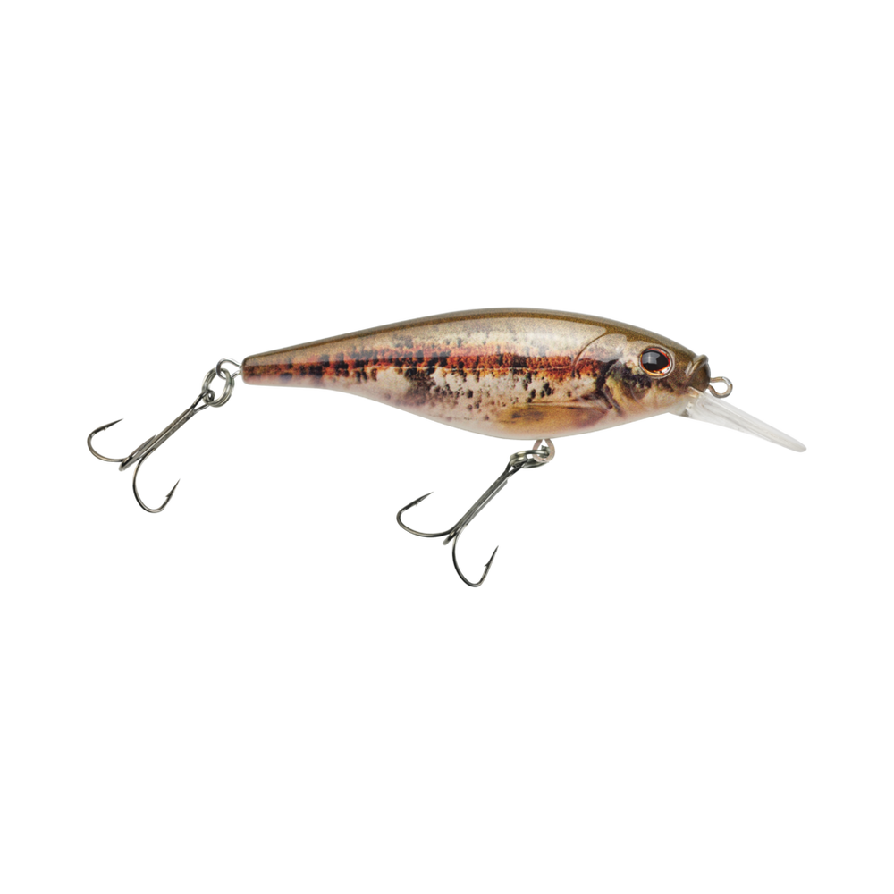 Flicker Shad Shallow