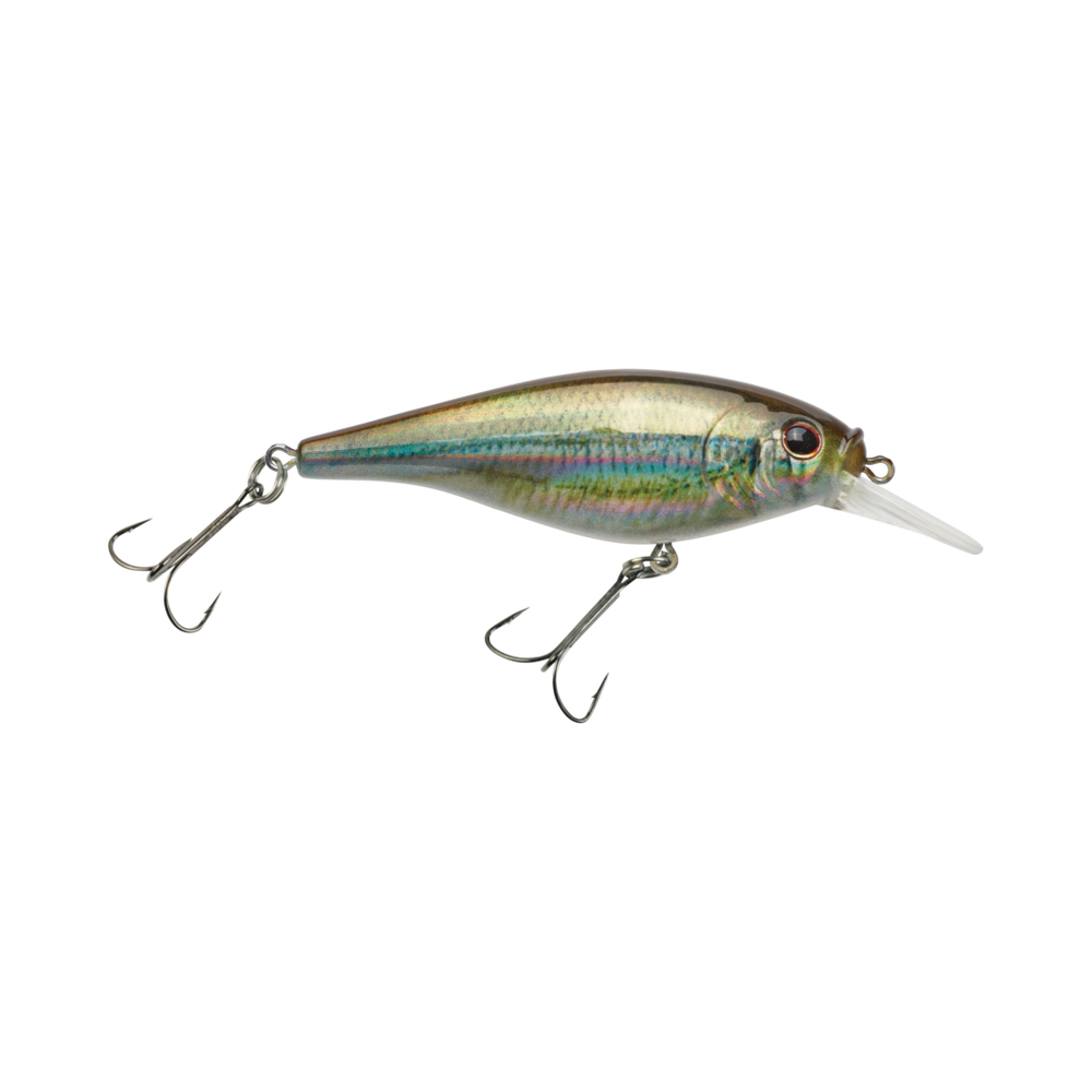 Flicker Shad Shallow