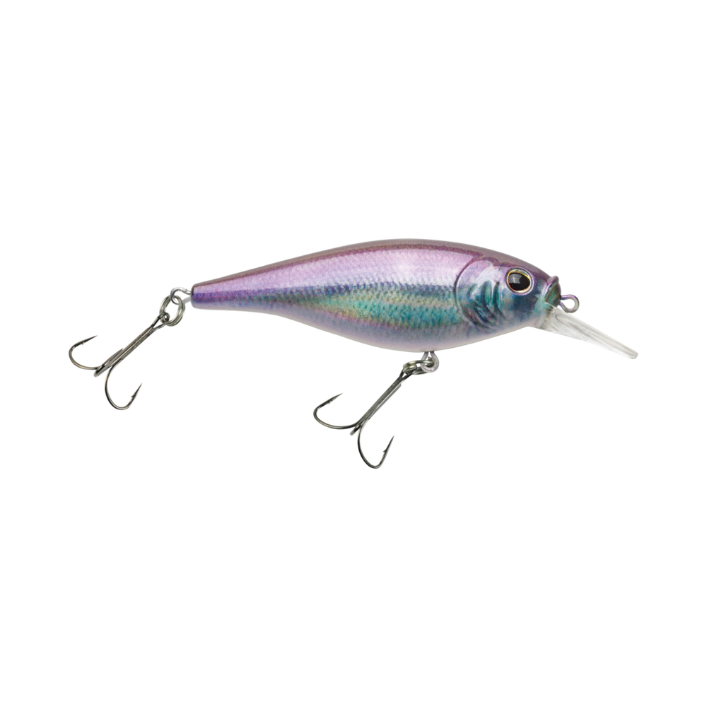 Flicker Shad Shallow