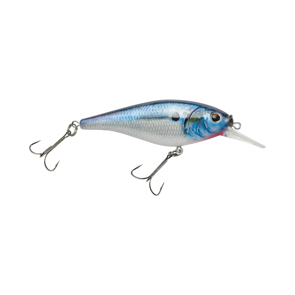 Flicker Shad Shallow