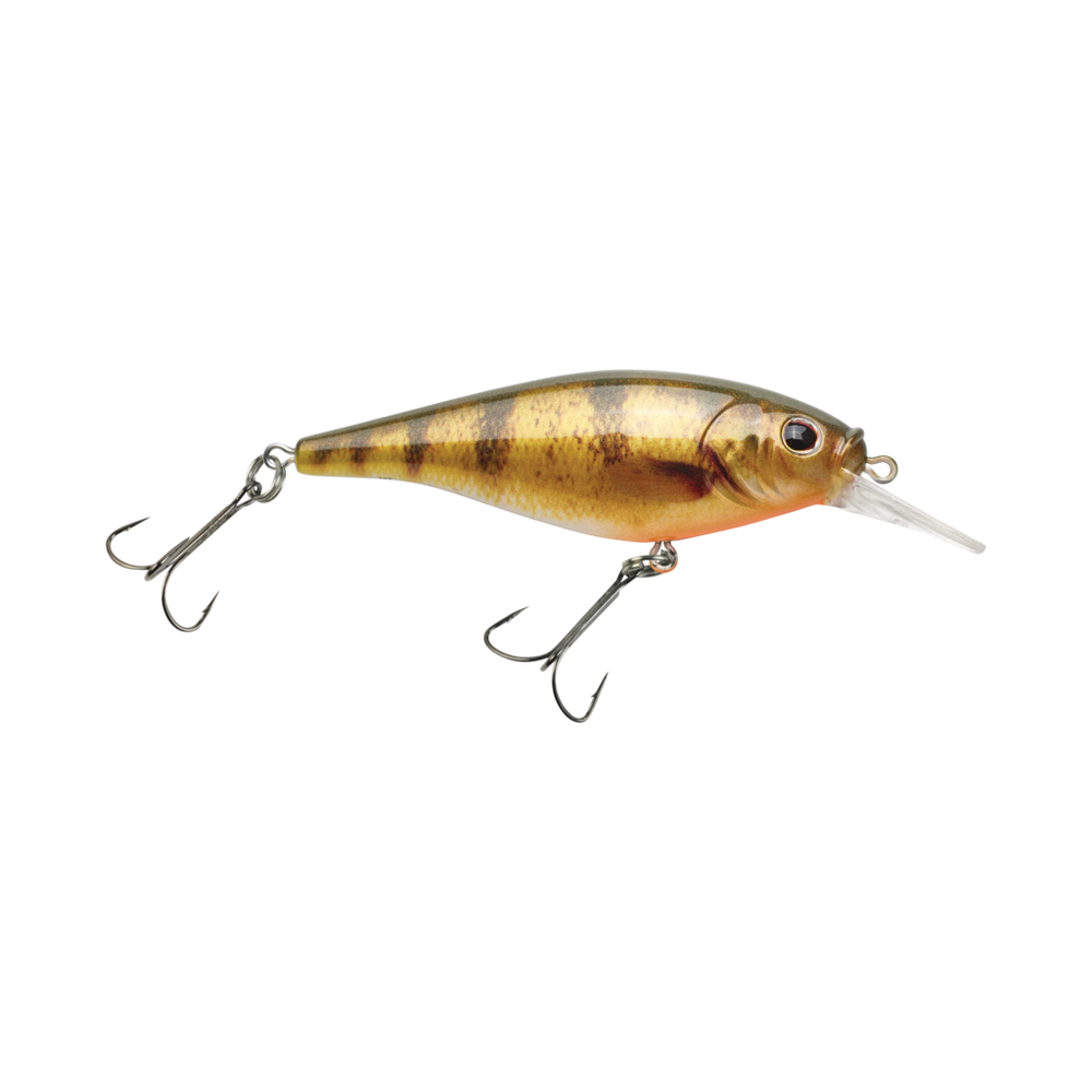 Flicker Shad Shallow