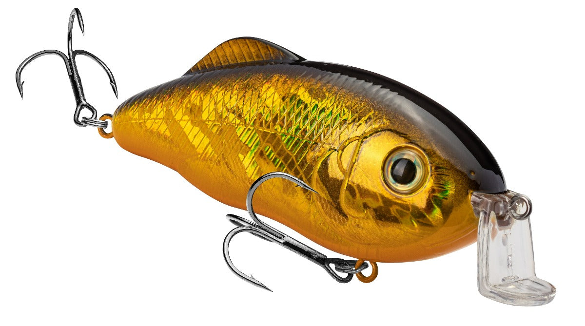 Shallow Hybrid Hunter & Jr