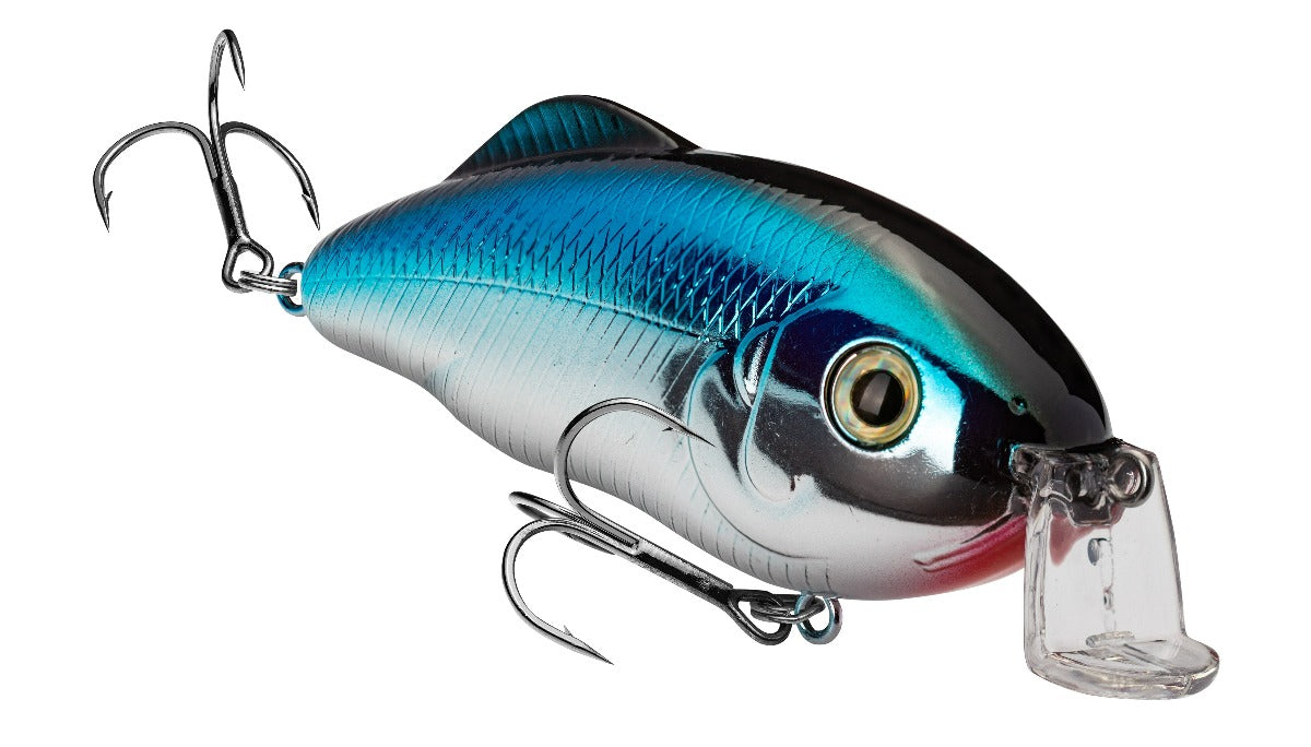 Shallow Hybrid Hunter & Jr
