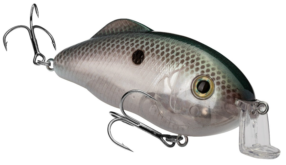 Shallow Hybrid Hunter & Jr