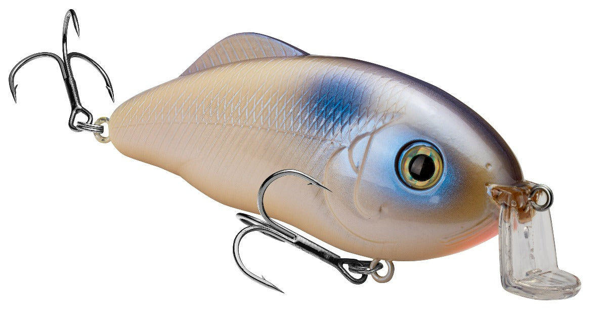 Shallow Hybrid Hunter & Jr
