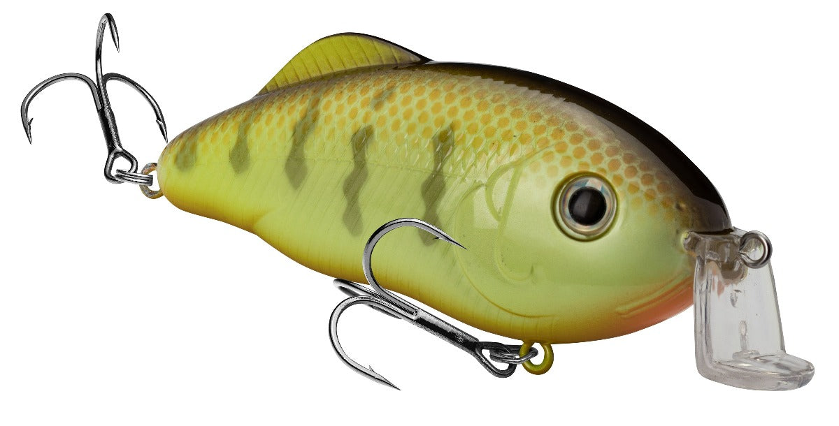 Shallow Hybrid Hunter & Jr