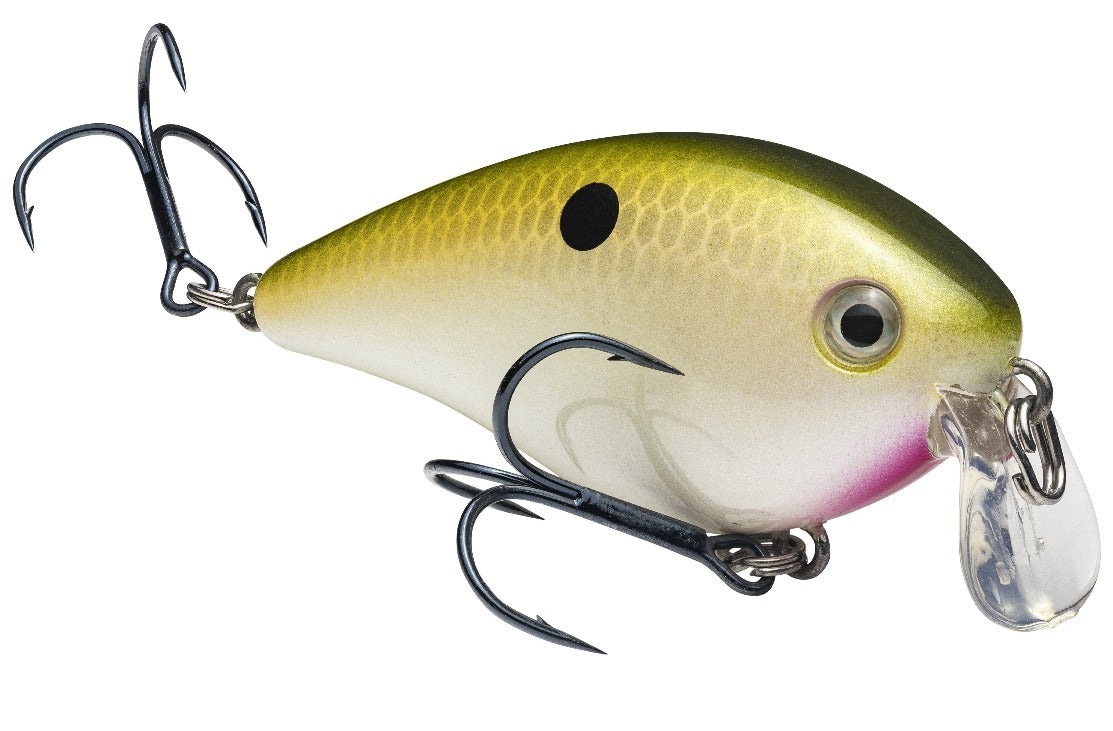 KVD 1.5 Shallow Crankbait