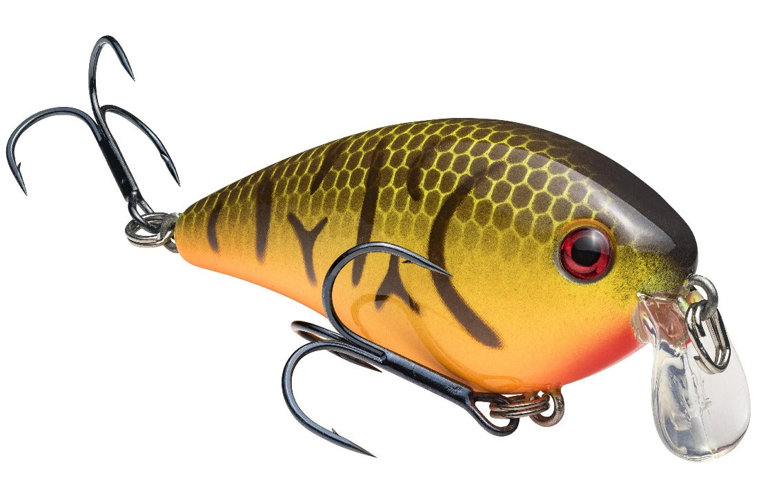 KVD 1.5 Shallow Crankbait