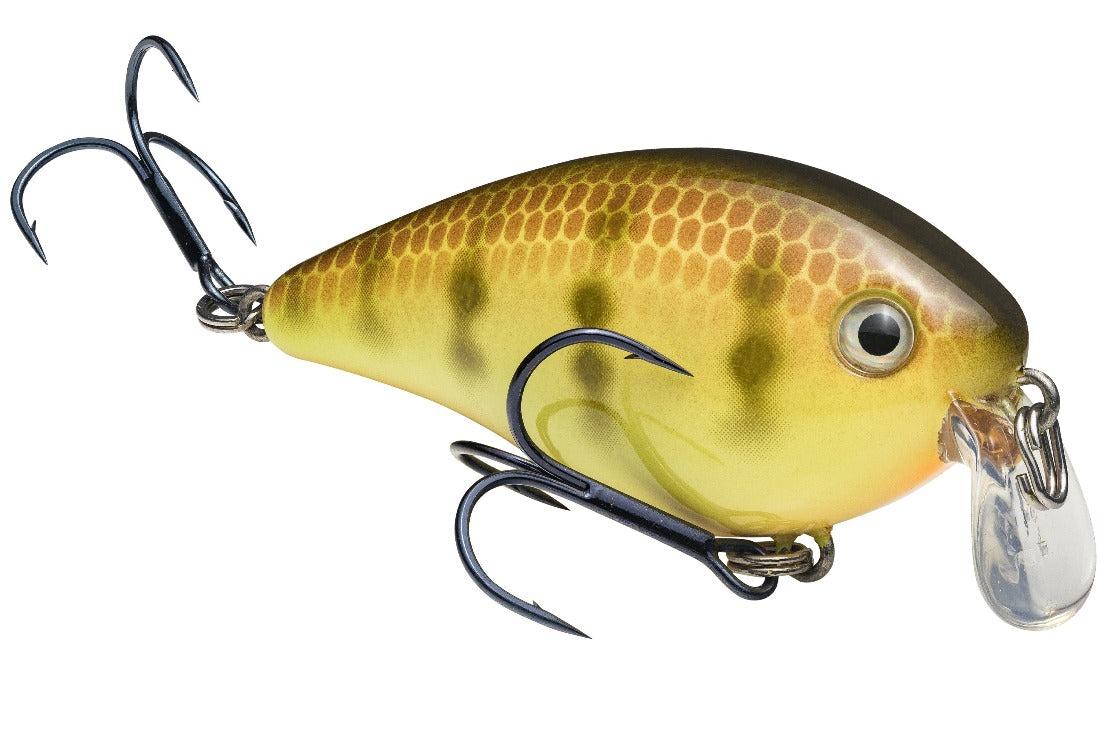 KVD 1.5 Shallow Crankbait