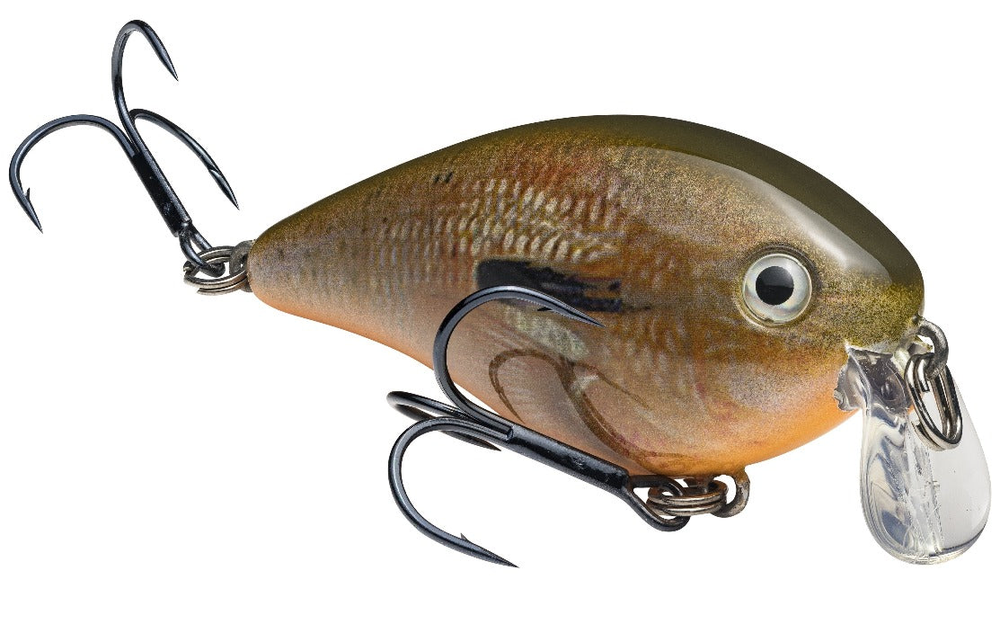 KVD 1.5 Shallow Crankbait