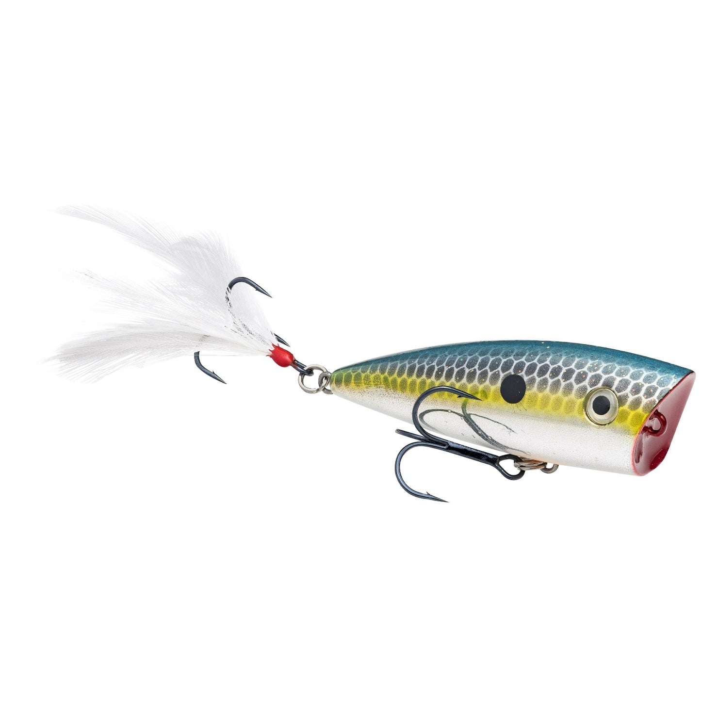 KVD Splash Jr. Topwater