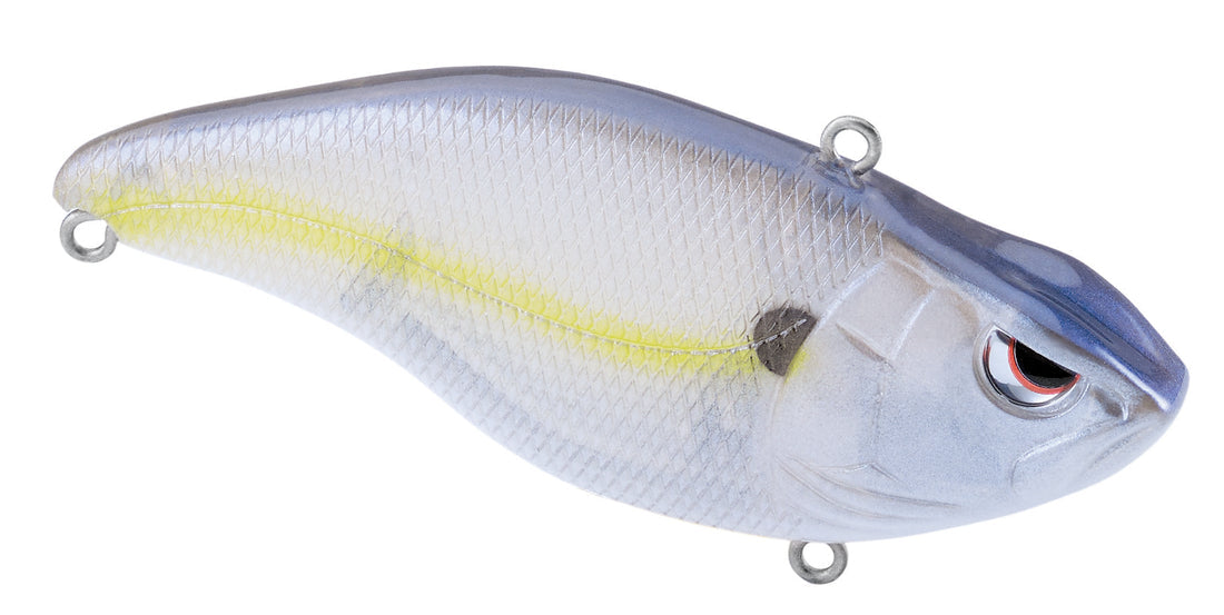 Aruku Shad 65