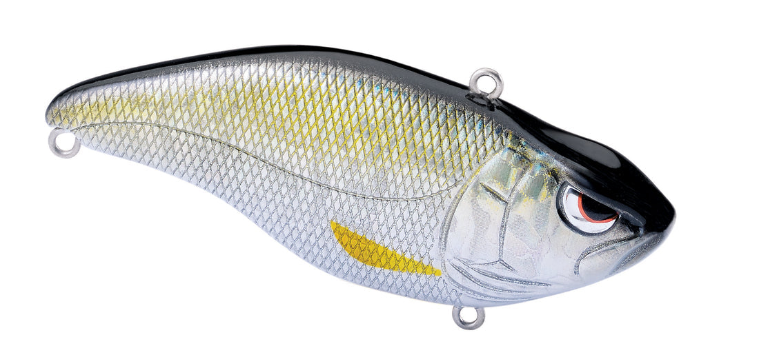 Aruku Shad 65