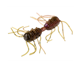 Sexy Bug