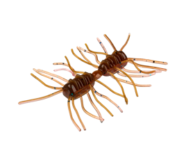 Sexy Bug