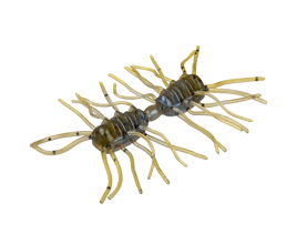 Sexy Bug