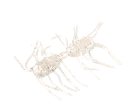 Sexy Bug