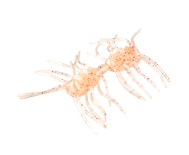 Sexy Bug