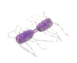 Sexy Bug