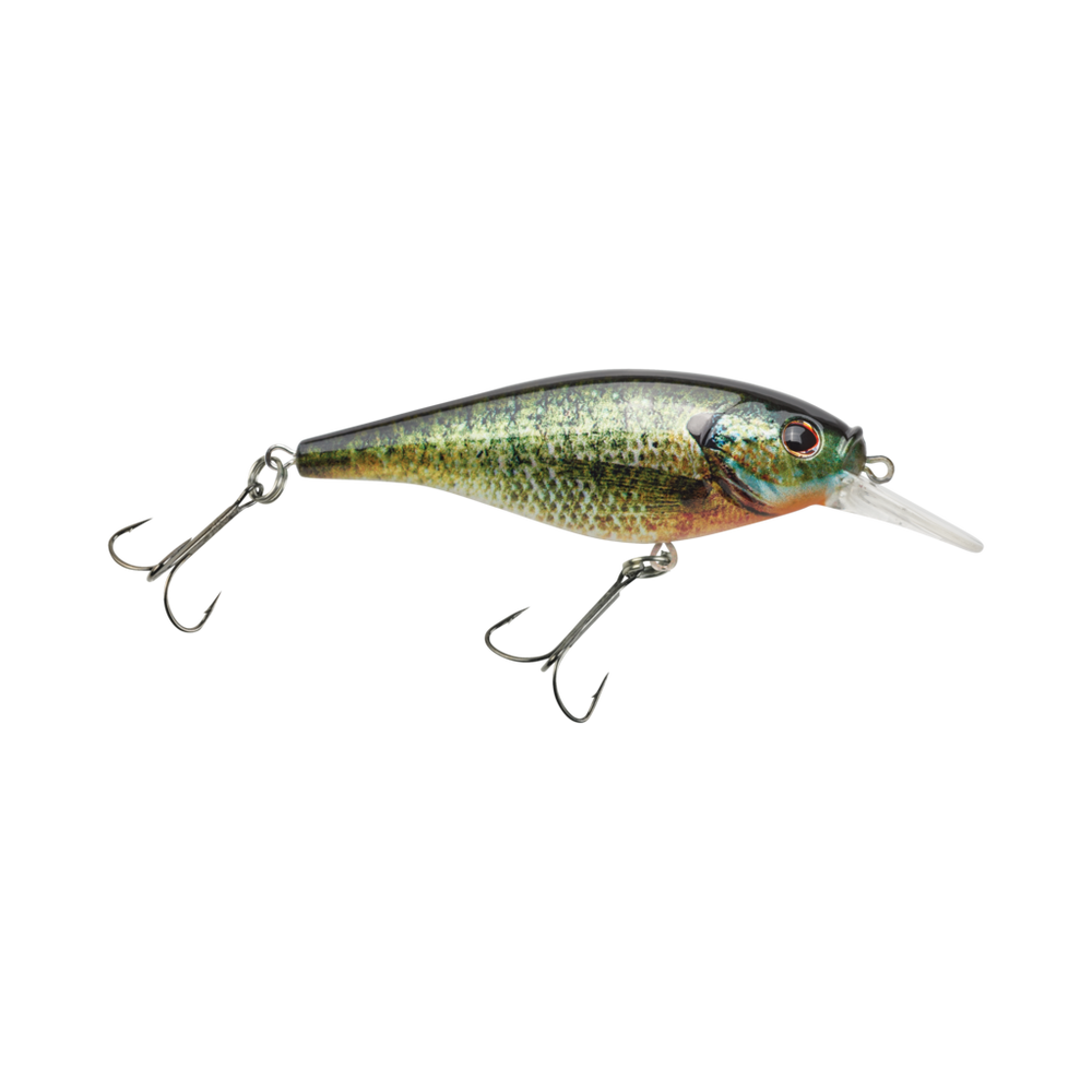 Flicker Shad Shallow