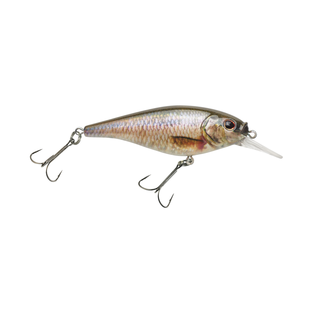 Flicker Shad Shallow