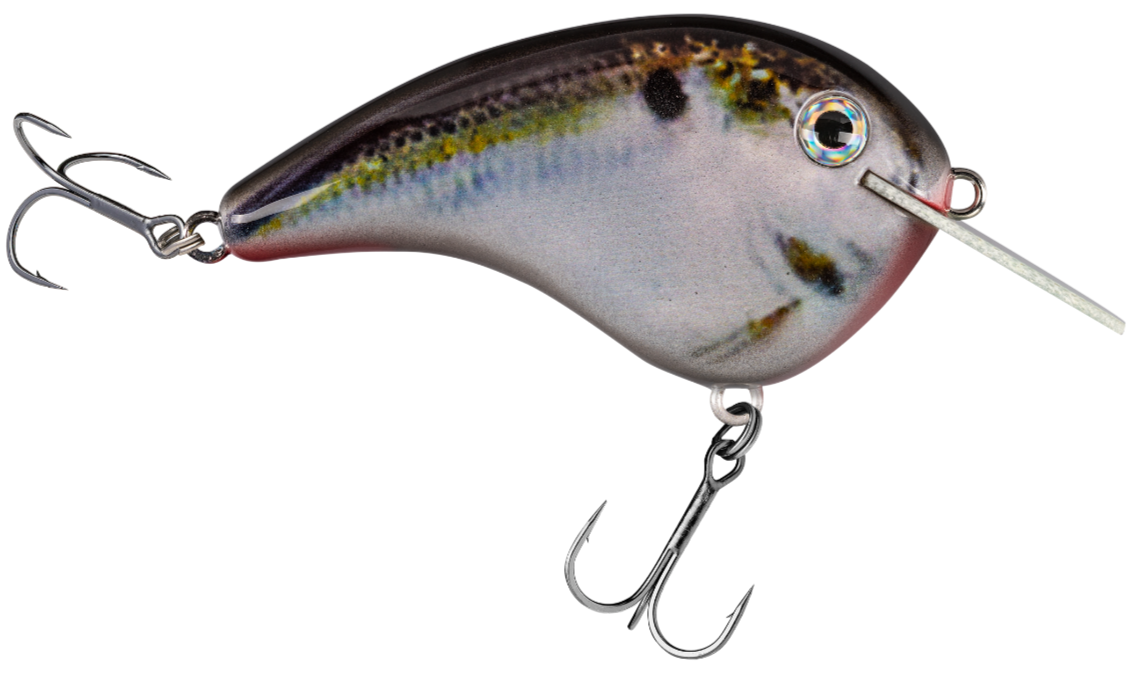 The Chick Magnet Flatsided Crankbait