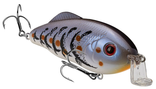 Shallow Hybrid Hunter & Jr